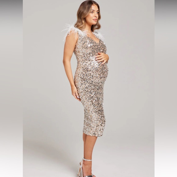 Nadine Merabi LAYLA METALLIC MATERNITY DRESS - Picture 4 of 8